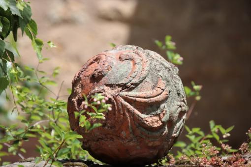 Free Stock Photo of Garden decoration