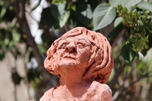 Free Stock Photo of Seen in a garden...