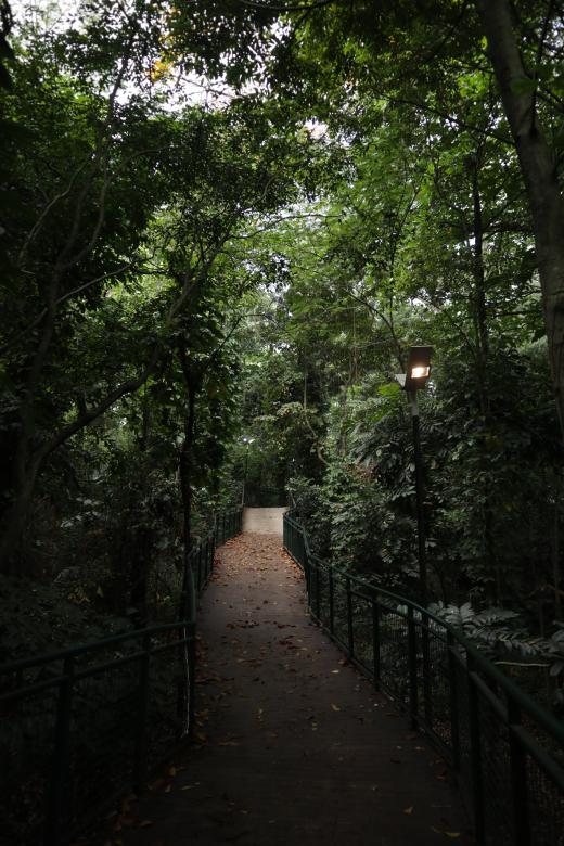 Free stock image of Babakan Siliwangi - Urban Forest created by Yosafat