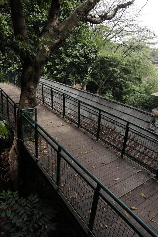 Free stock image of Walking Bridge in Babakan Siliwangi created by Yosafat