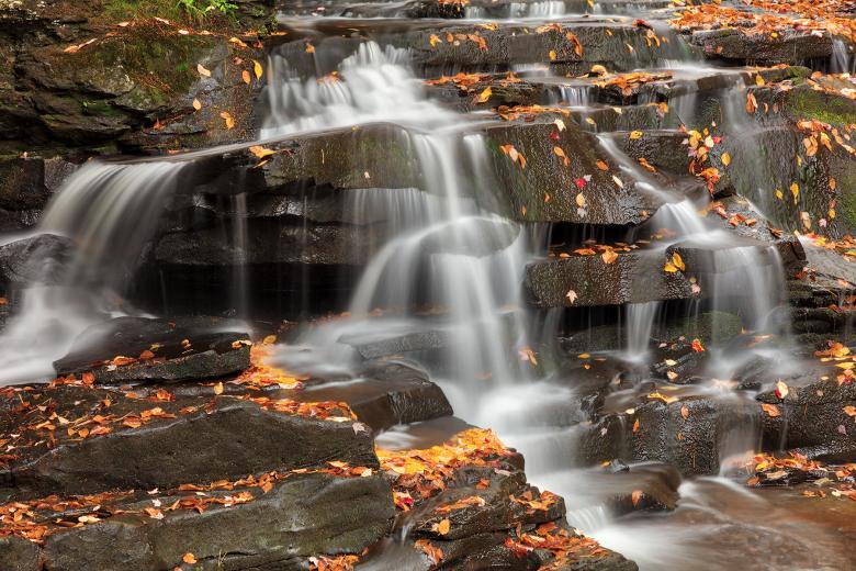 Free stock image of Autumn Garden Creek Cascades created by Nicolas Raymond