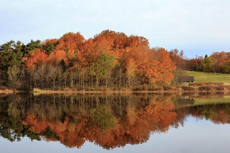 Free stock image of Autumn Reflection created by Geoffrey Whiteway