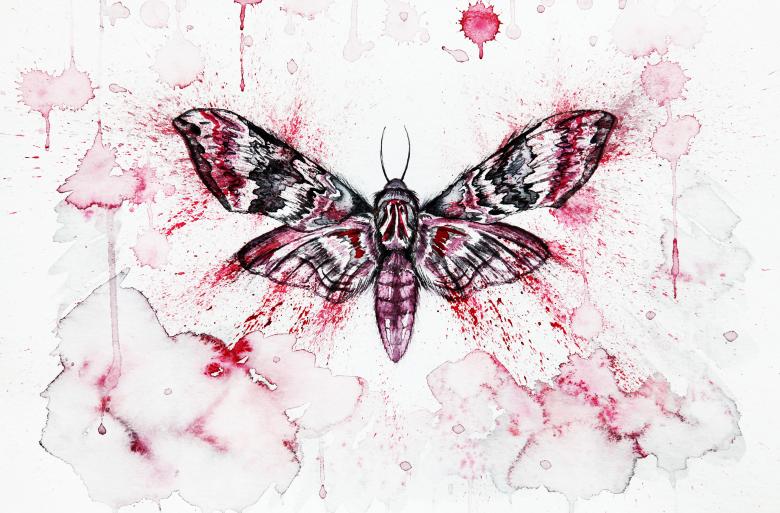 Free stock image of Moth Illustration created by Nika Akin