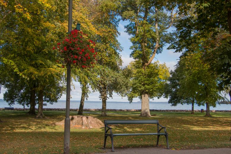 Free stock image of A Place to Sit created by Janis Urtans