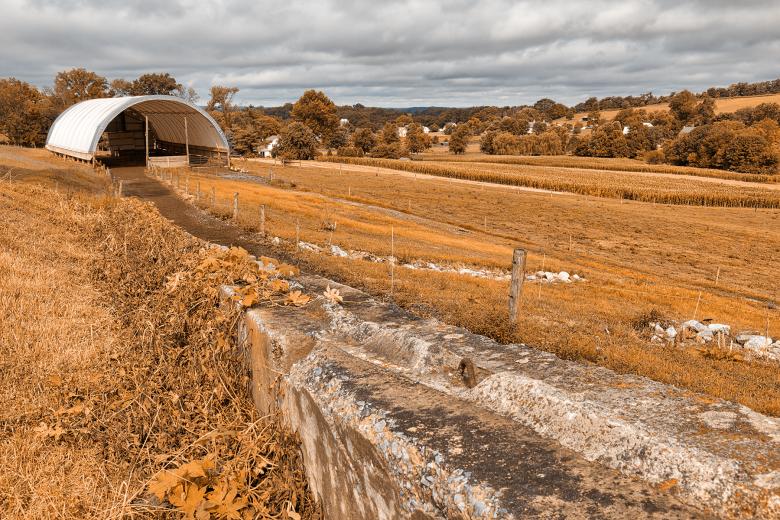 Free stock image of Orange Cream Farmland created by Nicolas Raymond