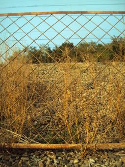 Free Stock Photo of Rusty lattice