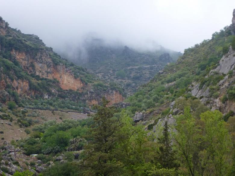 Free stock image of Ashur Park inside the countryside mountains created by MOSTAFA SAHNONI