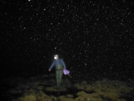 Fishing in the dark - Free Stock Photo