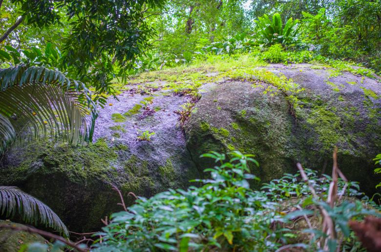 Free stock image of Moss on Rocks created by TheTwo555