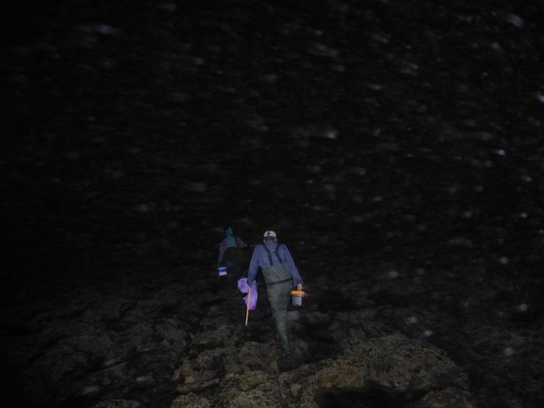 Free stock image of Fishing in complete darkness on a beach created by MOSTAFA SAHNONI