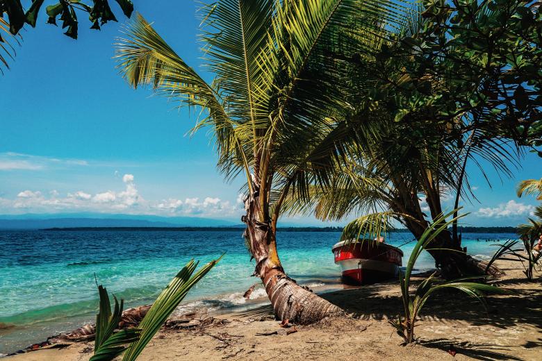 Free stock image of Palm trees at tropical beach created by Aljoscha Laschgari