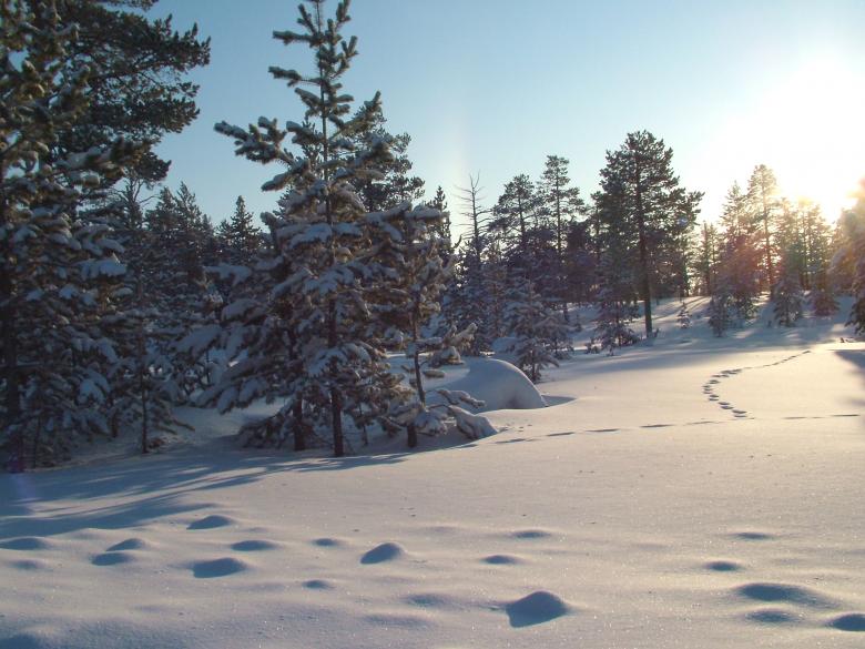 Free stock image of Winter - Sun in the Hills created by aleks
