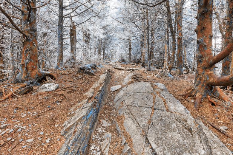 Free stock image of Dream Frost Trail created by Nicolas Raymond