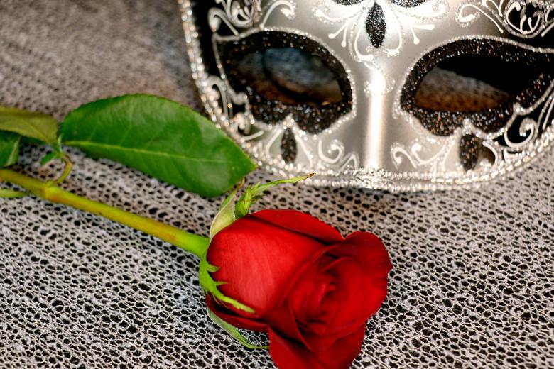 Free stock image of Victorian Mask and Red Rose created by vera reece