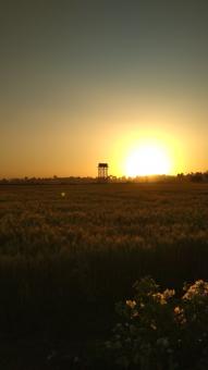 Sunset Behind Water Tower - Free Stock Photo