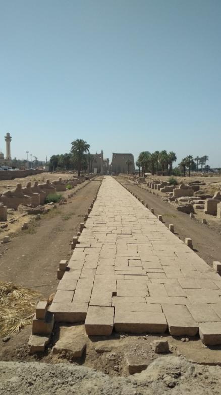 Free stock image of Ancient Stone Road in Luxor created by BasSem