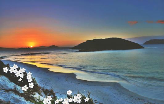 View of the sunset at the sea - Free Stock Photo