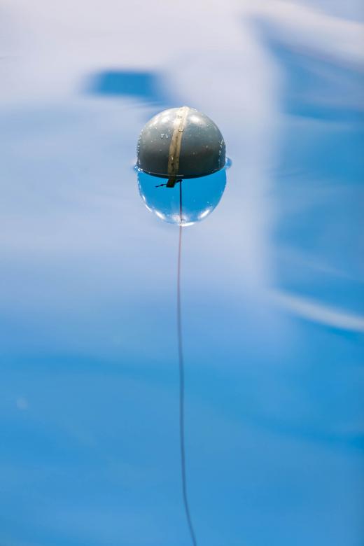 Free stock image of Float created by Geoffrey Whiteway
