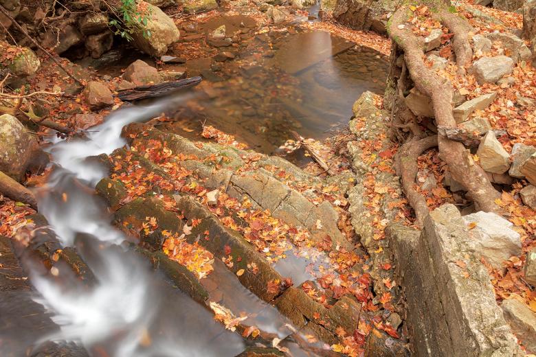 Free stock image of Autumn Gee Creek Bend created by Nicolas Raymond