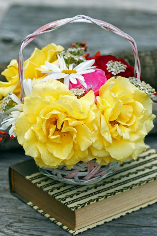 Free stock image of Yellow Roses bouquet created by Kamala Saraswathi