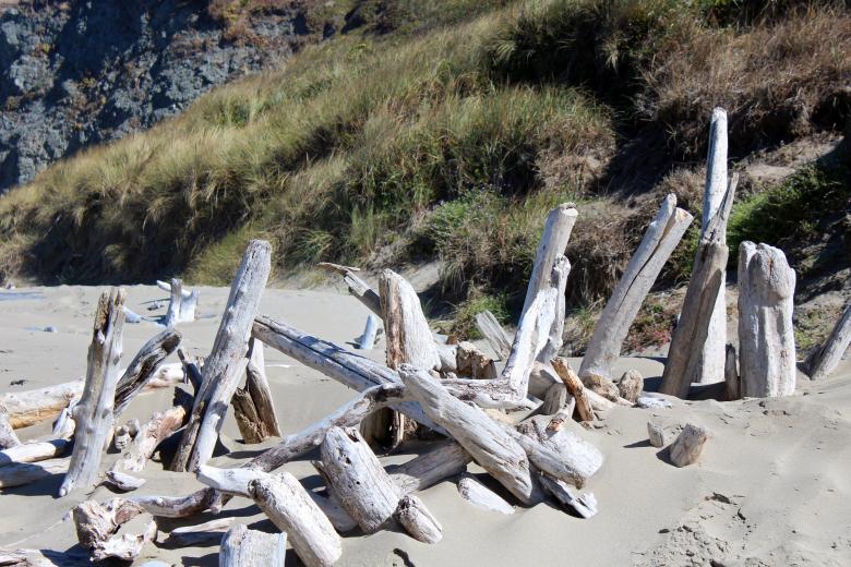 Free stock image of Stranded pile of woods created by Kamala Saraswathi