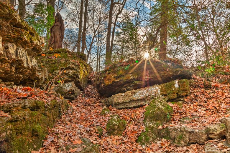 Free stock image of Lady Rutledge Sunburst created by Nicolas Raymond