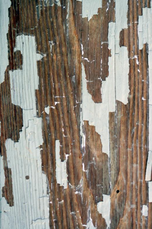 Free stock image of Abstract Painted Wood Texture created by Kamala Saraswathi