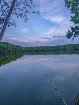 Sunset Fishing at Mangrove - Free Stock Photo