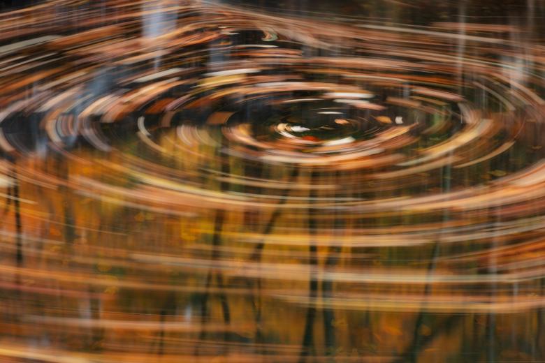 Free stock image of Autumn Forest Swirls created by Nicolas Raymond