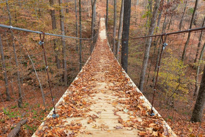 Free stock image of Autumn Suspension Bridge - Tims Ford created by Nicolas Raymond