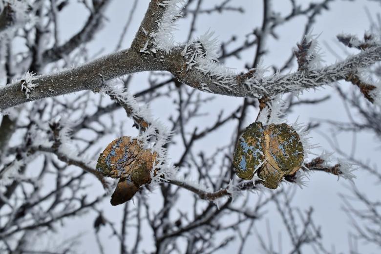 Free stock image of Cold Winter created by adam