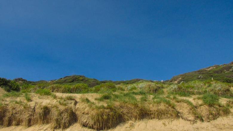 Free stock image of Beach Dunes and Grass created by Michiru Maeda