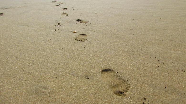 Free stock image of Footsteps on Golden Sand created by Michiru Maeda