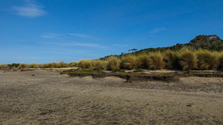Free stock image of Beach against the blue sky created by Michiru Maeda