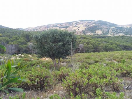 Tetouan Landscape - Free Stock Photo