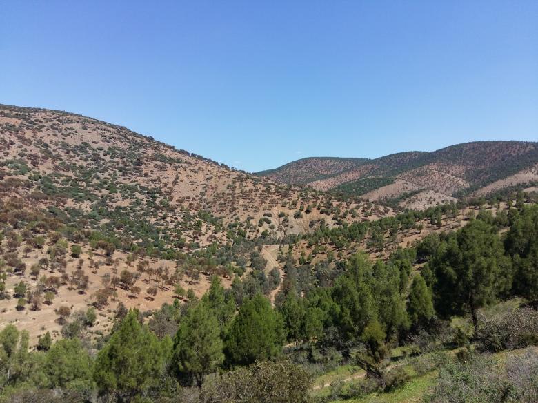 Free stock image of Moroccan Hills created by Hassan JAB