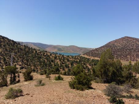 Nature in Morocco - Free Stock Photo