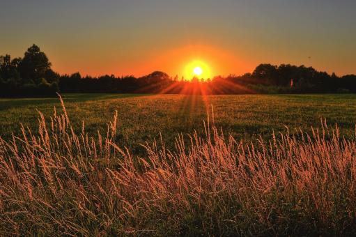 Sunset and Beautiful Nature - Free Stock Photo