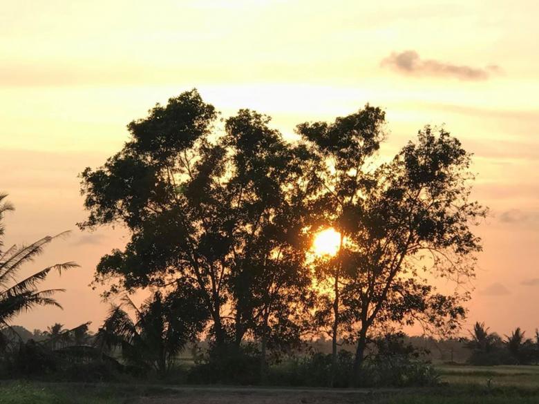 Free stock image of Vietnam Countryside created by Pham Tuan Khiem
