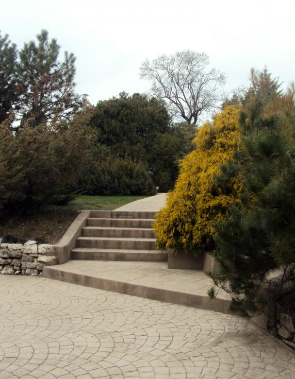 Free stock image of Park view - Steps created by NomeVizualizzato