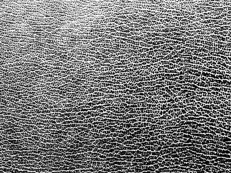 Black and White Leather Texture - Free Stock Photo