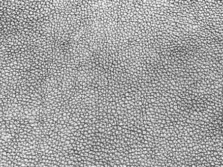 Monochrome Leather Texture - Free Stock Photo