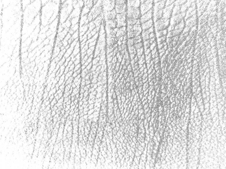 Free stock image of Light Leather Texture Background created by Sos
