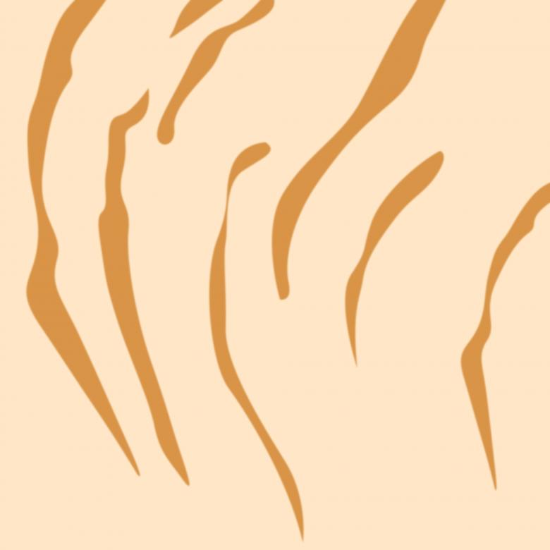 Free stock image of Light tiger stripes background created by Sos