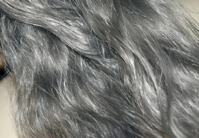 Free stock image of Hoariness - Matted hair created by NomeVizualizzato