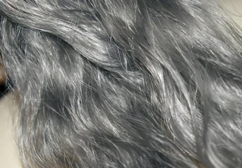 Hoariness - Matted hair - Free Stock Photo