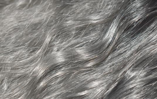 Grizzled Hair - Free Stock Photo