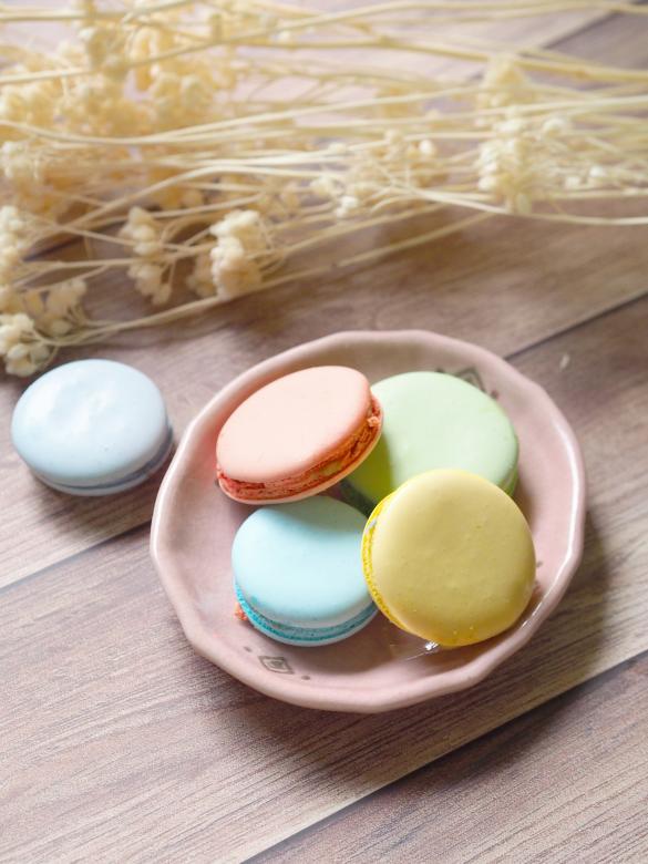 Free stock image of Macaron color pastel pink, purple, yellow, green created by Paramin Juntarakote