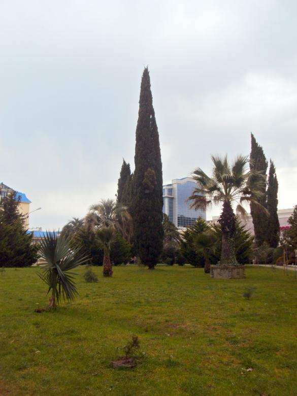 Free stock image of City Park View created by NomeVizualizzato