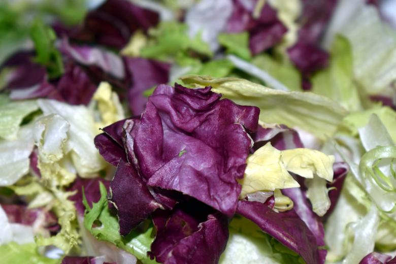 Free stock image of Multi-colored leaves of salad created by NomeVizualizzato